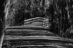 Bridge_60932-