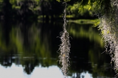 Hanging-On-64015