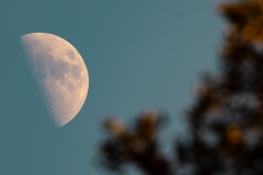 Moon-69988-