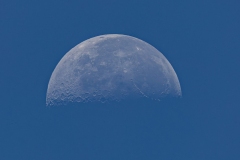 Moon_at_Noon_68331-